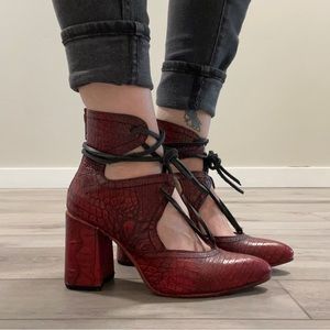 Freebird by Stephen Joyce